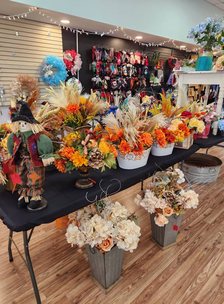 540741274 122124836318944722 7831252879656961492 n